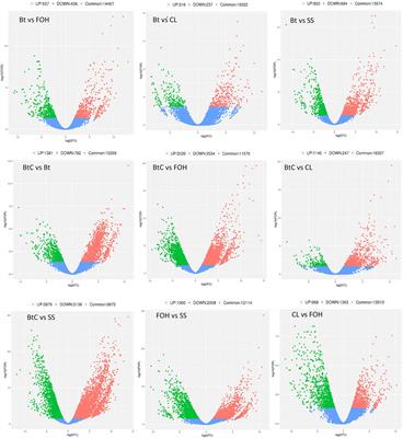 Bacillus thuringiensis and Chlorantraniliprole Trigger the Expression of Detoxification-Related Genes in the Larval Midgut of Plutella xylostella